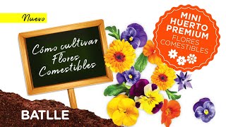 CÓMO CULTIVAR FLORES COMESTIBLES  HUERTO PREMIUM BATLLE [upl. by Carline]