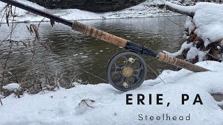 Winter Steelhead  Erie PA  2023 [upl. by Domash818]