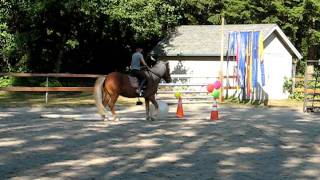 Blessi Extreme Trail Competition Icelandic Horse [upl. by Revolc]