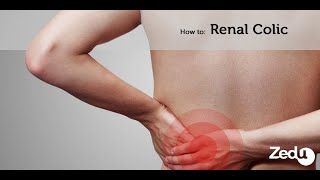 How to Renal Colic Ultrasound  Zedu POCUS Coaching Corner  3 June 2021 [upl. by Devine330]