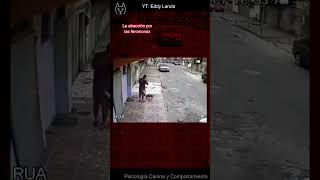 ¿Te orinó un perro comportamientocanino perro comunicacioncanina [upl. by Dud]