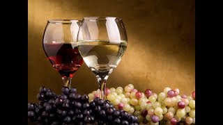 LAS PROTEÍNAS DEL VINO  QUIEBRA PROTEICA Y CLARIFICACIÓN DEL VINO [upl. by Merrielle]