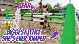 BEARS LAST JUMP  The biggest my pony has EVER jumped [upl. by Olumor941]