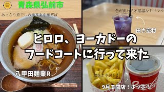 青森グルメ 青森県弘前市 ヒロロとイトーヨーカドーのフードコートに行って来ました！「ぼっちグルメウーマンの青森・岩手・秋田の食巡り！ 」 [upl. by Ailana]