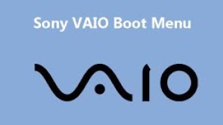 Open BIOS on Sony Vaio E Series Laptop [upl. by Orsay]