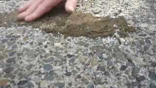 HOW TO Apply amp Match crack filler to exposed aggregate driveway [upl. by Ailene]