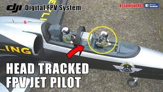 RC JET PILOTING FROM THE COCKPIT  FREEWING L39 DJI DIGITAL FPV WITH HEAD TRACKING  PILOT GUI [upl. by Nylaf117]