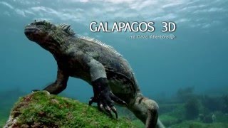 Galapagos 3D  mit David Attenborough  Trailer HD Deutsch  German [upl. by Atena]