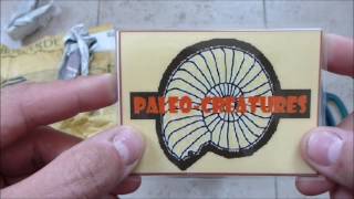 Paleocreatures Teleocrater unboxing by Lanthanotus [upl. by Girvin210]