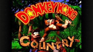 Donkey Kong Country  The Coop Mode [upl. by Suilmann]