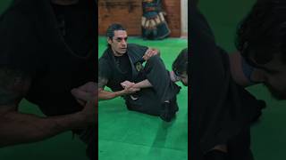 Técnica Ninja Sentadas 🥷🔥 escoladeninjas ninjutsu budotaijutsu kotatsudojo bujinkan ninja [upl. by Wake309]