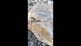 Abandoned Desert QUARRY  views from inside💥 Mojave Desert California [upl. by Naujuj528]