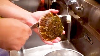 Japanese Street Food  SCALLOPS grill and baked in the shell [upl. by Acitel209]