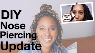 DIY Nose Piercing Update  Using The Amazon Nose Piercing Kit [upl. by Ayotnahs]