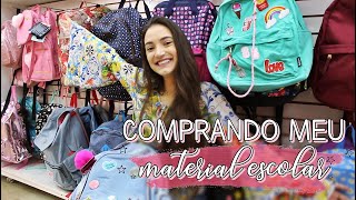 COMPRANDO MEU MATERIAL ESCOLAR 2019 [upl. by Clippard604]