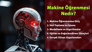 Makine Öğrenmesi Nedir Nasıl Çalışır [upl. by Assyram]