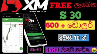 XM free doller 30 withdrawal to skrill 💰💰  sinhala xm trading emoney money [upl. by Rockey433]