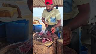 Colourful Skipjack Tuna Fish Cutting Skill  Fastest Tuna Fish Cutting Skill By Expert Fish Cutter [upl. by Elkin]