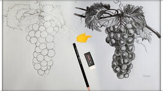 Easy pencil shading drawing Grapes step by step  how to draw grapes fruits  Realistic pencil art [upl. by Padraic]