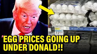 Trump LIES on Egg Prices BLOW UP in HIS FACE [upl. by Zaslow]