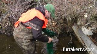 Maine Mink Trapping with the Donaghy Brothers [upl. by Analihp153]