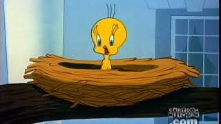 I Tawt I Taw a Puddy Tat Tweety Compilation [upl. by Eetak]