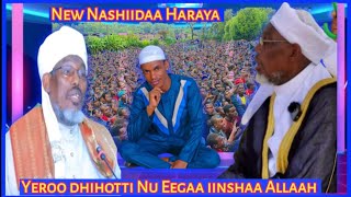 new nashiidaa Haaraya Abbaa ulamaaii Tana Quba Qabduu Yeroo dhihotti iinshaa Allaah share [upl. by Niriam]