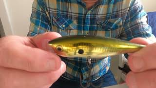 The Rapala Skitter Pop [upl. by Addy]