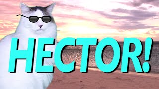 HAPPY BIRTHDAY HECTOR  EPIC CAT Happy Birthday Song [upl. by Dahij]