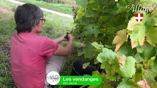 LES VENDANGES [upl. by Willamina183]