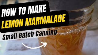 Homemade Lemon Marmalade  Small Batch Canning [upl. by Killarney]