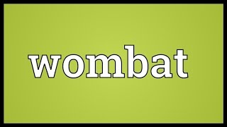 Wombat Meaning [upl. by Acinnej]