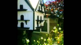 dovecote bird house [upl. by Auqkinahs893]