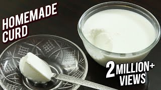 Homemade Curd Recipe  Tips amp Tricks To Make Curd At Home  Basic Cooking  Ruchi [upl. by Elehcor791]