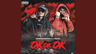 OK OK OK feat FIIXD [upl. by Enelez242]