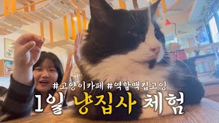 일상VLOG  고영희에게 무시받은 하루 •᷄ʚ •᷅  고잉이의 역할맥 킵고잉  월하주 마라전골 [upl. by Heeley]