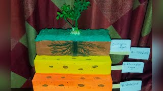 Layers of soil project Idea 💡✨ youtubeshorts projectideas youtube craft ytshorts [upl. by Jorie85]