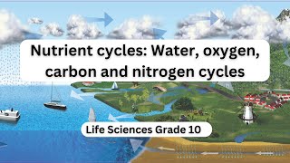 Nutrient cycles Water oxygen carbon and nitrogen cycles [upl. by Berthold]