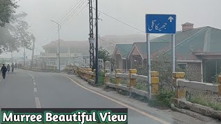 Murree Jheeka Gali View  Beautiful View With Beautiful Nature  Today Vlog  Thal Da Wasi  Vlogs [upl. by Arten]