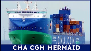 CMA CGM MERMAID  IMO 9961283  Ship Spotting at  ALTE LIEBE 2024 [upl. by Zippora]