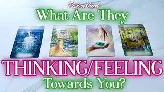 What Are They ThinkingFeeling Towards You 🤍 PICK A CARD 🪽 Timeless Tarot Reading [upl. by Yelahs604]