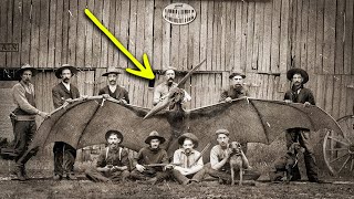 1891 Pterodactyl Hunt in Arizona amp California [upl. by Roosnam938]