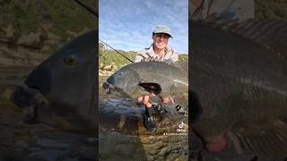 Rock fishing central coast fishing fish groper [upl. by Eniale]