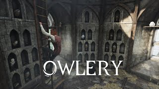 Owlery  Hogwarts Legacy Harry Potter ambience [upl. by Juta]