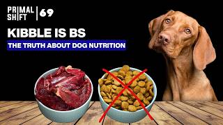 Is Your Dogs Diet Really Healthy Here’s What You Need to Know  Ep 69 [upl. by Dnalrah]