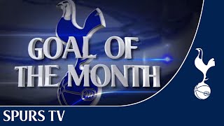 Vote now for Marchs Goal of the Month 20132014 [upl. by Drobman]