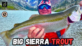 Big Sierra Trout Fishing with mini jigs at Lundy Lake [upl. by Ayalat268]