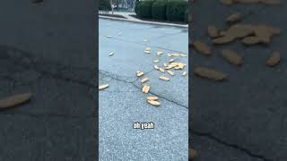 Fairhaven Runner Discovers Restaurant Parking Lot Covered in Bread [upl. by Odab]