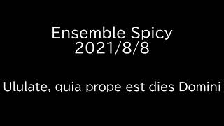 Ululate quia prope est dies Domini Ensemble Spicy [upl. by Wiltsey]