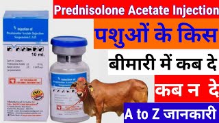 prednisolone Acetate injection  Prednisolone Acetate injection पशुओं के किस बीमारी में कब दे [upl. by Bentlee]